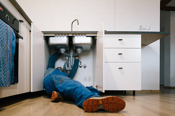 Professional Emergency Plumber technician working in Maybee, MI